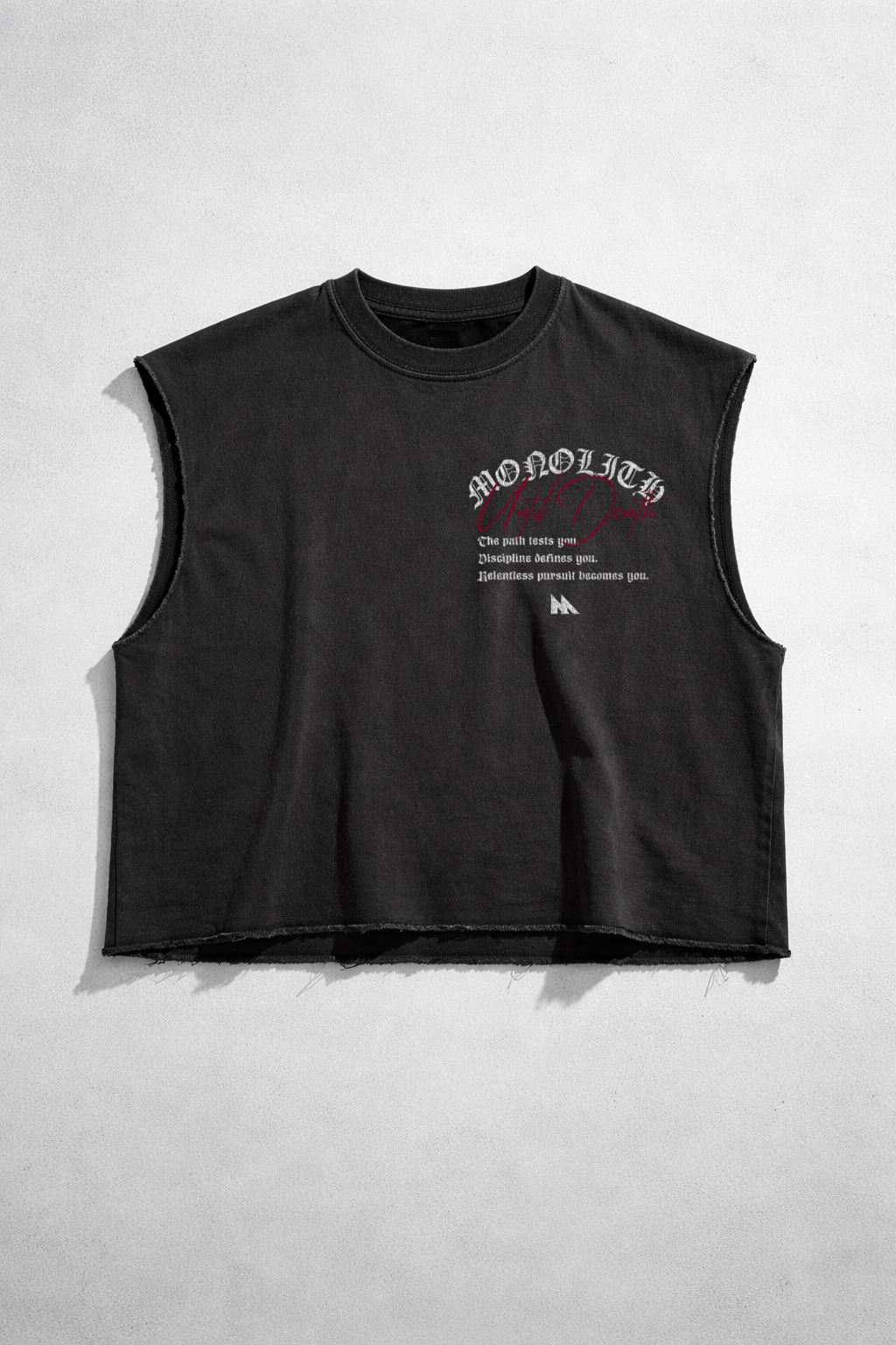 Warrior’s Path Oversized Tee — Ryu
