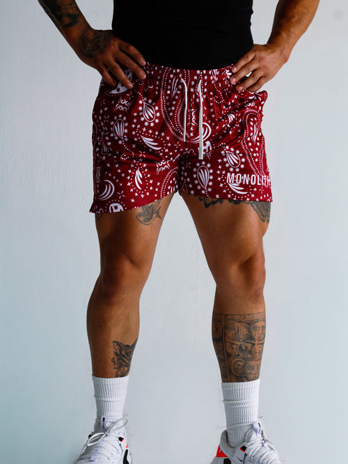 Crimson Paisley Dual-Layer Mesh Shorts