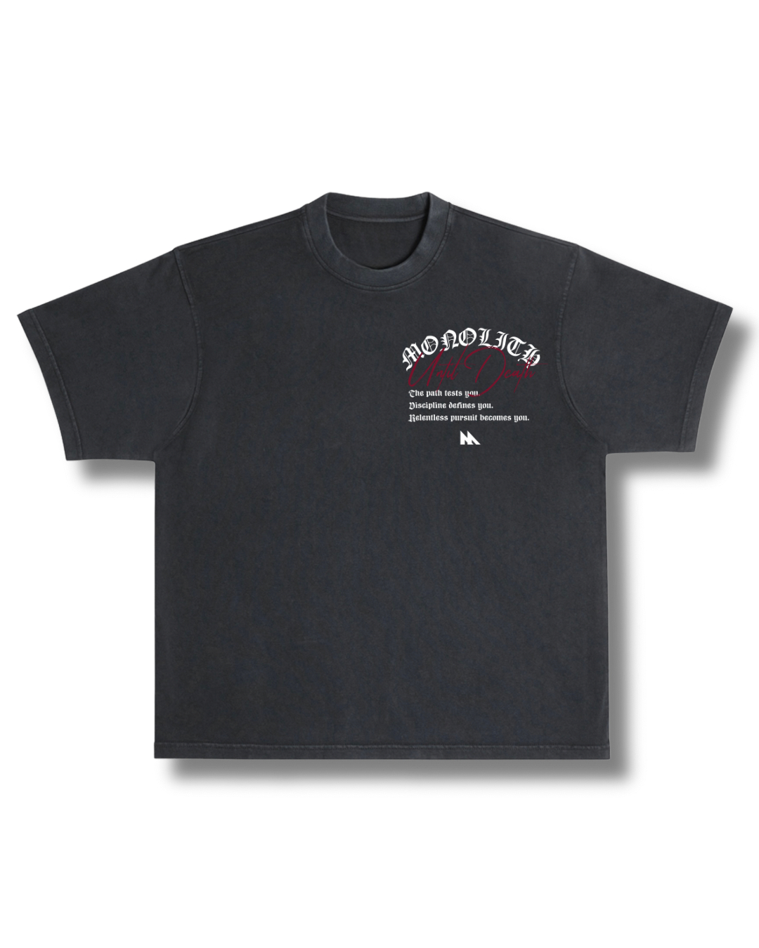 Warrior’s Path Oversized Tee — Ryu